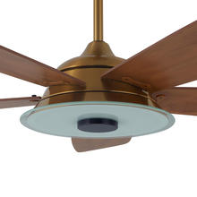 S525H-L13-G3-1_Details-2.jpg