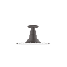 Montclair Light Works FMB158-57-G05 - 12" Radial shade, Flush Mount Light ceiling light with clear glass and cast guard, Bronze Matte
