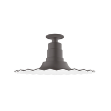 Montclair Light Works FMB159-57-G06 - 16" Radial shade, Flush Mount Light ceiling light with Frosted Glass and cast guard, Bronze Matt