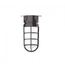 Montclair Light Works FMC050-51 - 5 1/2" Vaportite flush mount ceiling light, Architectural Bronze