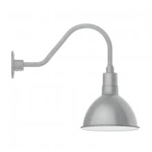 Montclair Light Works GNA115-49-B03-W10 - 10" Deep Bowl shade, gooseneck wall mount, decorative canopy cover & wire grill, Painted Galvani