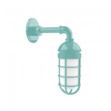 Montclair Light Works GNM050-48 - Vaportite, no shade, single wall mount with clear glass and cast guard, Sea Green