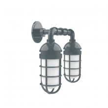 Montclair Light Works GNP050-40 - Vaportite, no shade, double wall mount with clear glass and cast guard, Slate Gray