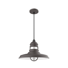 Montclair Light Works PEB070-57-C25-G07 - 14.5" Liberty shade, pendant w/ polished copper fabric cord and canopy, Frosted Glass, Bronze Ma