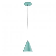 Montclair Light Works PEB420-48 - 8" Jynx shade, black cord with canopy, Sea Green