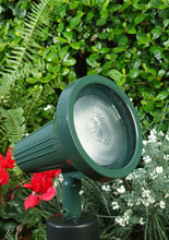 dpr40-g_appl.jpg