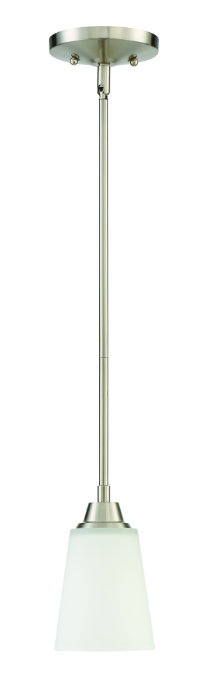 1 Light Mini Pendant