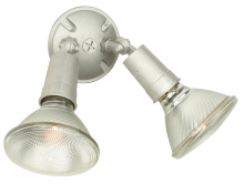 Outdoor Directional Lights