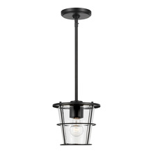 Generation-Seagull 6001401-112 - Tex One Light Pendant