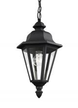 Generation-Seagull 6025-12 - Brentwood traditional 1-light outdoor exterior ceiling hanging pendant in black finish with clear gl