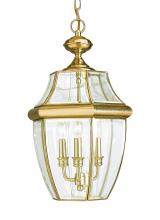Generation-Seagull 6039-02 - Lancaster traditional 3-light outdoor exterior pendant in polished brass gold finish with clear curv