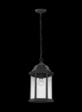 Generation-Seagull 6238701-12 - Sevier traditional 1-light outdoor exterior ceiling hanging pendant in black finish with clear glass
