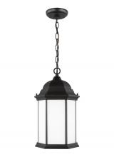 Generation-Seagull 6238751-12 - Sevier traditional 1-light outdoor exterior ceiling hanging pendant in black finish with satin etche