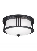 Generation-Seagull 7847902-12 - Crowell Two Light Outdoor Ceiling Flush Mount
