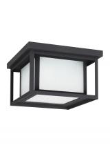 Generation-Seagull 79039EN3-12 - Hunnington Two Light Outdoor Ceiling Flush Mount