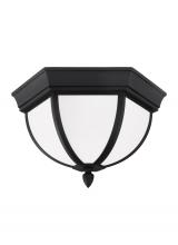 Generation-Seagull 79136-12 - Wynfield traditional 2-light outdoor exterior ceiling ceiling flush mount in black finish with etche