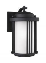 Generation-Seagull 8547901-12 - Crowell Small One Light Outdoor Wall Lantern