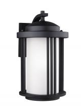 Generation-Seagull 8747901DEN3-12 - Crowell Medium One Light Outdoor Wall Lantern