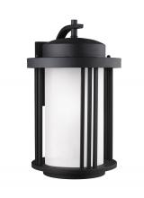 Generation-Seagull 8847901DEN3-12 - Crowell Large One Light Outdoor Wall Lantern