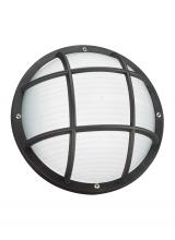 Generation-Seagull 89807-12 - Bayside One Light Outdoor Wall / Ceiling Mount