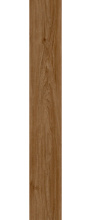 FL-305-DRI_1.jpg