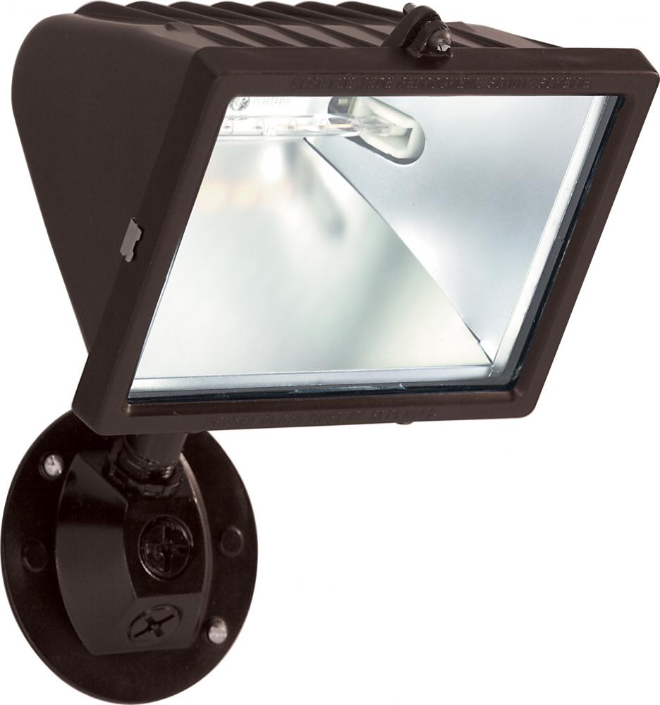 1 Light - 10" - Flood Light, Exterior - Large Halogen